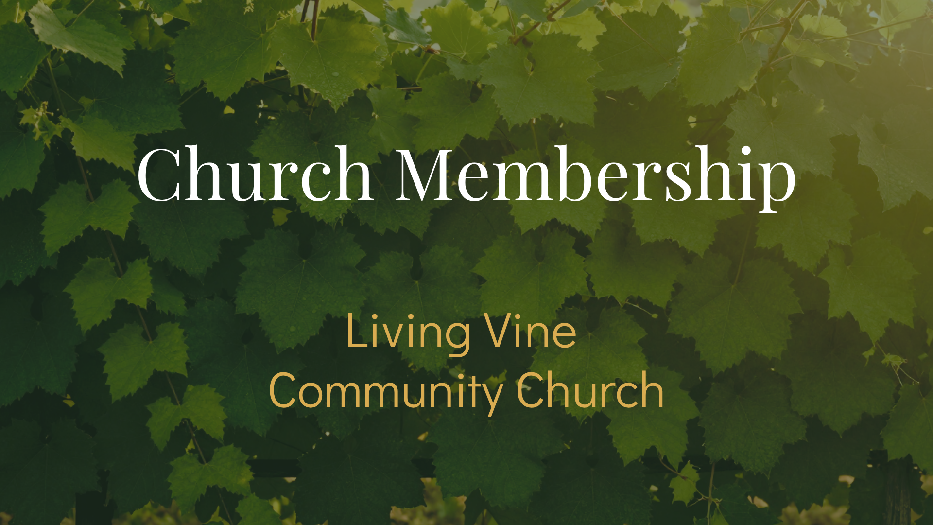 church_membership.png